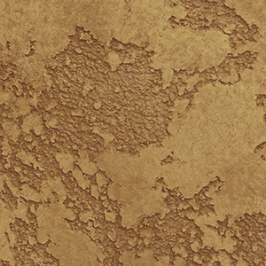 sedef.az,sadaf.az,sadef.az,sedef.az,sedef baku,sedef baku azerbaijan,byravishh.site_13