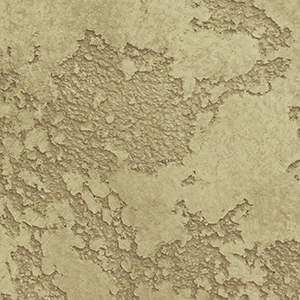 sedef.az,sadaf.az,sadef.az,sedef.az,sedef baku,sedef baku azerbaijan,byravishh.site_23