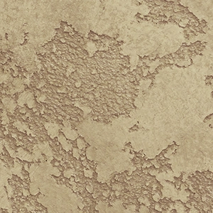 sedef.az,sadaf.az,sadef.az,sedef.az,sedef baku,sedef baku azerbaijan,byravishh.site_9